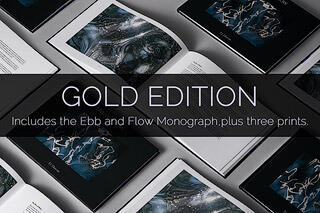 Ebb and Flow Monograph - Gold Edition