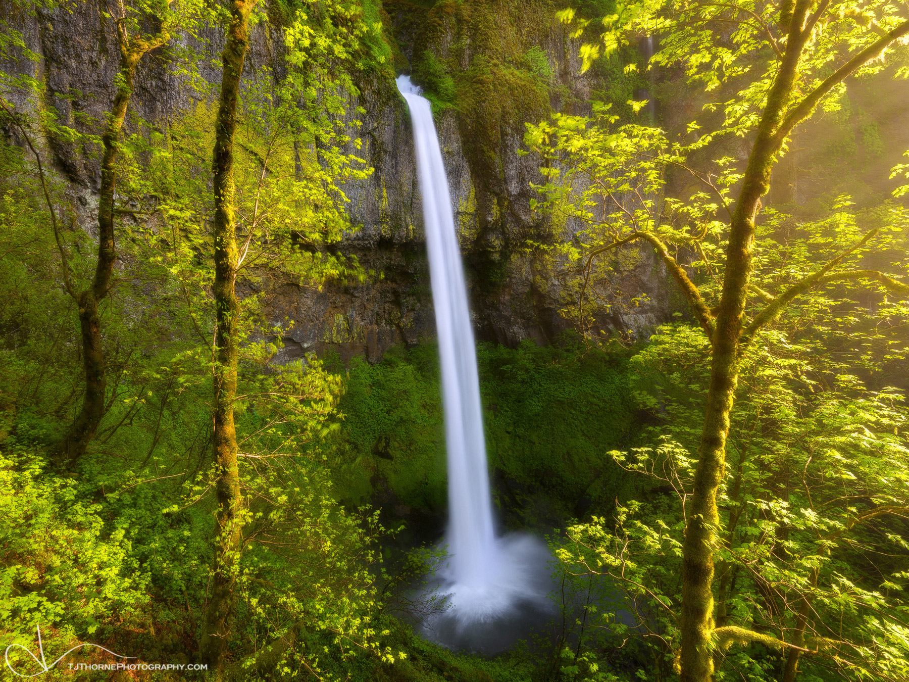 Golden light falls across the scene at Elowah Falls in the Columbia River Gorge, Oregon. I dedicate this photo to the camera...